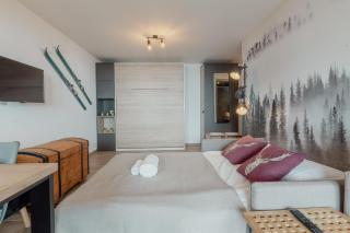 Studio rénové avec vue imprenable sur les Alpes - Crans-Montana - 5