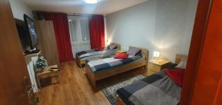 Apartament Sosnowiec - Sosnowiec - 2