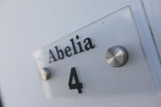 Abelia - St Ives - 8
