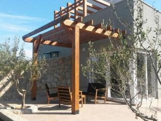 Holiday Home Olive Garden - Novalja - 2