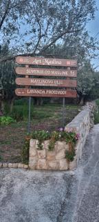 Senkini Dvori - Sutomišćica - 6