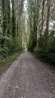 Maison indépendante Chambly 3 chambres - 8