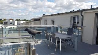 Altstadtblick Schwerin - ABC193 - Schwerin - 4