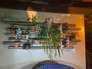 Casa em Ilhabela -Sul da Ilha Praia Grande - 6