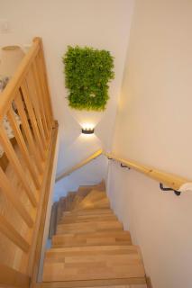 Maison Jardin 5mn Disney Parking gratuit - 2