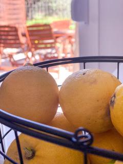 NICOL's HOUSE - Chania - 2