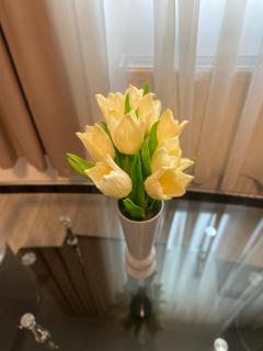 Garsonieră Trivale - 2