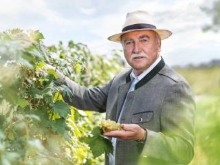 Wein & Landhaus Willi Opitz - Illmitz - 3