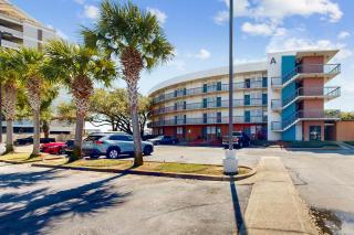 Pirates Bay A210 - 3