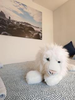 House with garden and parking - 1