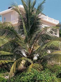 Bamboo House BnB - Bondeni - 3