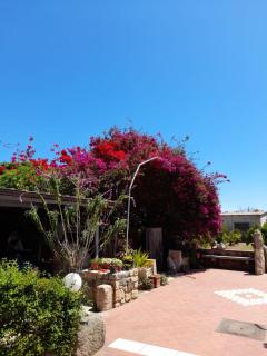 Sa cruxi - Girasole - 3