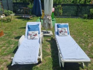Casa Cochilia - Gradina si Terasa - Camere Private Tuzla - Tuzla - 4