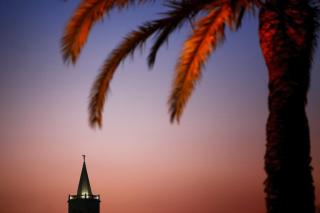 Ryanair's Best choice Zadar - Zadar - 5