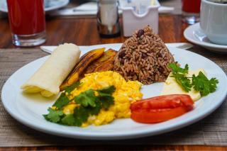 La Fortuna Lodge by Treebu Hotels - Fortuna - 9