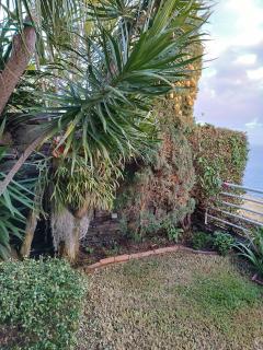 Moradia T2 Madeira - Funchal - 2
