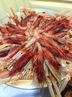appartamenti del pescatore - Savelletri di Fasano - 7