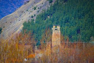 Cottage AISI / კოტეჯი აისი - Sno - 4
