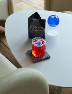 Hôtel-restaurant Le Sénéchal - Sauveterre-de-Rouergue - 6