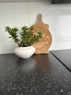 Jaukūs apartamentai Šilutėje - Šilutė - 6