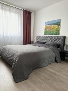 Jaukūs apartamentai Šilutėje - Šilutė - 1