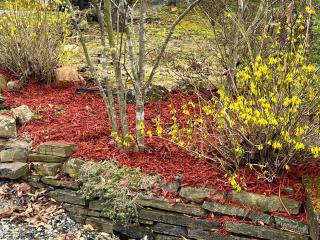 Twin Oaks - Bryson City - 3