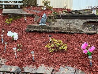 Twin Oaks - Bryson City - 4