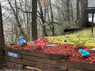 Twin Oaks - Bryson City - 6