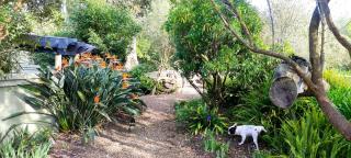 Blissful Country Garden King Bed Cottage - Grabouw - 1
