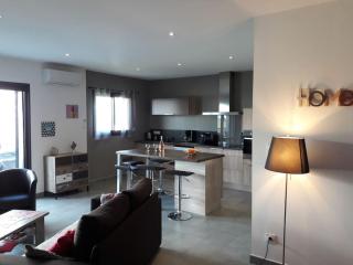 Appartement moderne avec terrasses et piscine - 1
