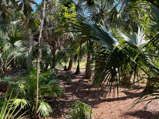 28 Night Heron - Two bedroom, two bath, pet friendly, 5 min walk to beach and pool - Hilton Head Island - 6