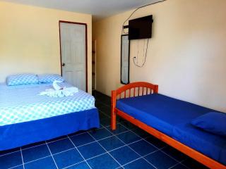 Habitación Privada - Apartamentos Morpho CR - Quepos - 1