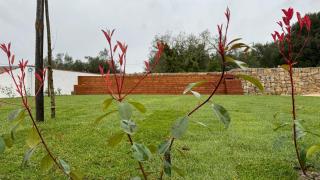 Casa de Alcaria - Alcaria - 5