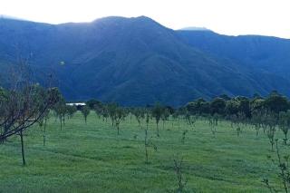 finca de barcena, country house - Tumbaya - 1