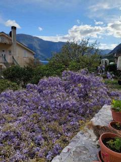 villa branka - Strp - 3