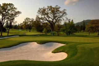 Gorgeous Napa Valley Getaway - Steps from Wineries - Napa - 6