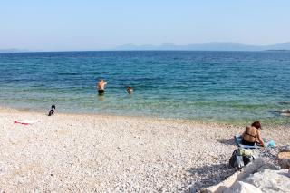 Apartments with a parking space Zivogosce - Blato, Makarska - 22253 - 6