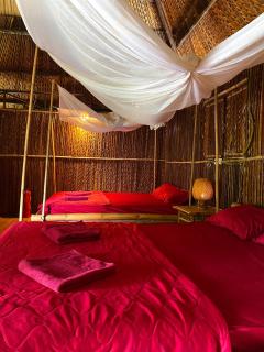 Dan Sinh Homestay - Can Tho - 7