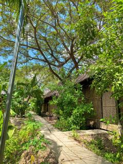 Dan Sinh Homestay - Can Tho - 9