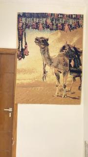 RAAK HOTEL فندق راك - Siwa - 4