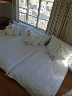 Tokyo downtown芍藥莊 - 8