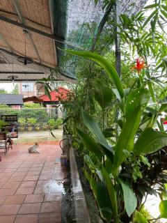 Miaspa Diệu Nhàn Phú Quốc - Phú Quốc - 0