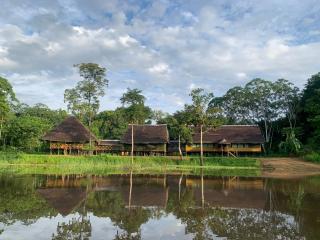Ayahuasca Eco Tours - Iquitos - 0