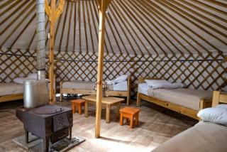 Khun Odod Resort, Khuvsgul province Mongolia - - 9