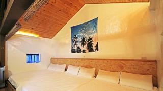 sea monkey diving homestay - 7