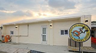 sea monkey diving homestay - 3