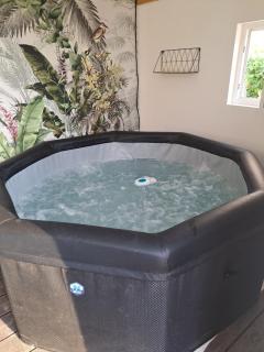 LES HIRONDELLES avec jacuzzi gratuit - Soings-en-Sologne - 2