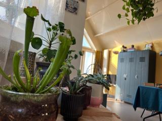 Romantic Dutch hideaway - Jisp - 1