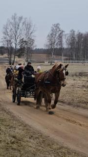 Zirgu sēta "Klajumi" - Horse ranch "Klajumi" - Kaplava - 8