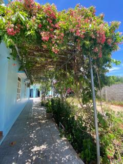 Chanh's House - 8